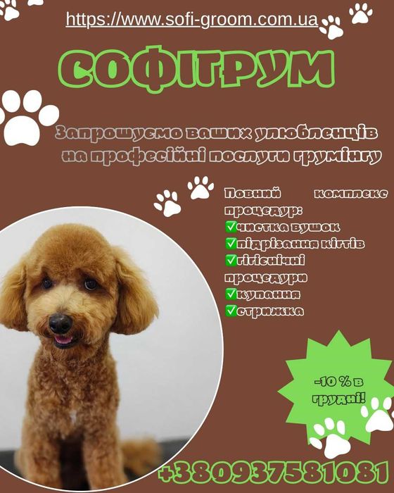 Професійний грумінг собак та котів, Львів, Сихів (Санта-Барбра)