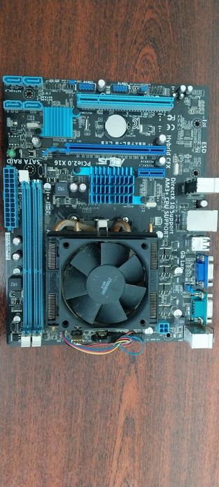 AMD FX 4300 + ASUS M5A78L-M LX3