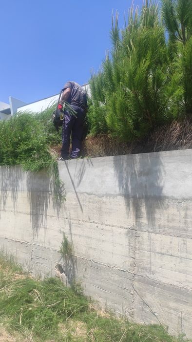 Serviço de escavações  limpeza de terreno