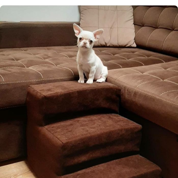 Пудровая лесенка для собак