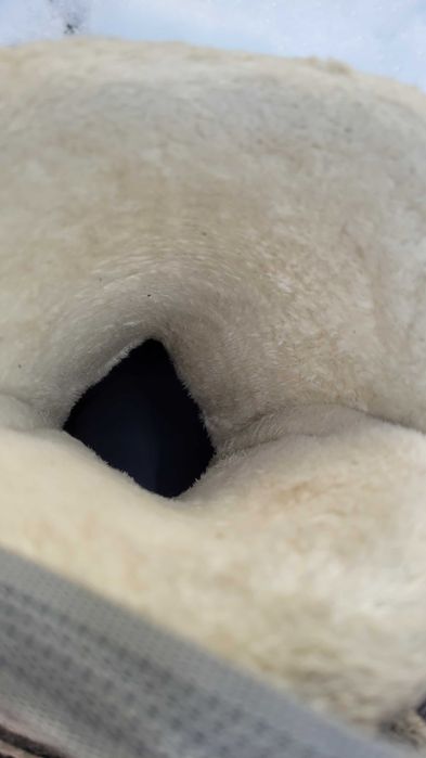 Buty narciarskie Dalbello Raya 10 rozm. 25,5 (40)