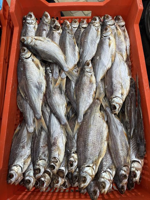 Вялена риба | риба холодного копчення | вʼялена риба | сушена риба