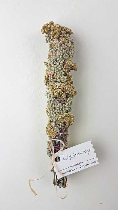 Wędrowcy. Kadzidło hawajsko słowiańskie