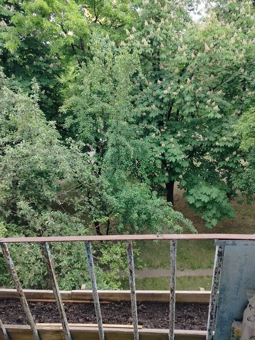 інститут раку на Здановської (Ломоносова), ВДНГ, Васильківська