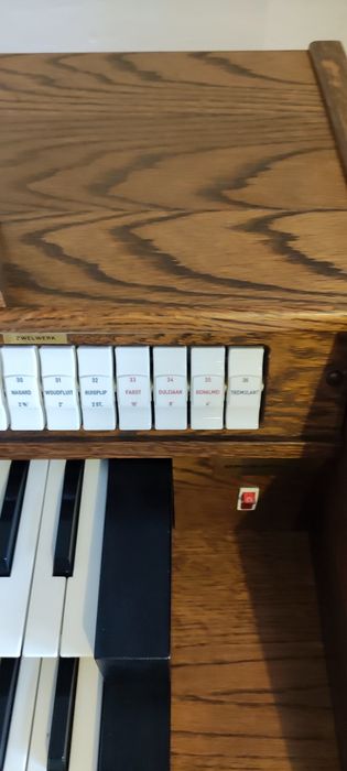 JOHANNUS OPUS 205 ( małopolska) 

ZAWODOWY INSTRUMENT! 

Dla ucznia 
D