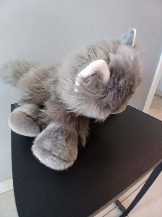 Essa cat perski