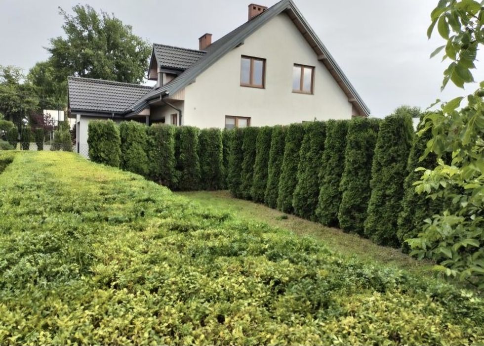 Pielęgnacja ogrodów