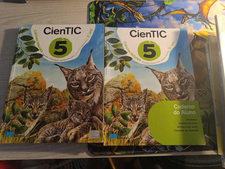 Manuais e livros fichas 5 ano