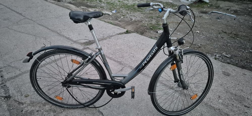 Rower Pegasus damka.