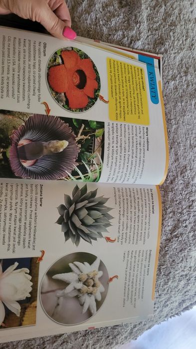 Encyklopedia "Wiedza o świecie "