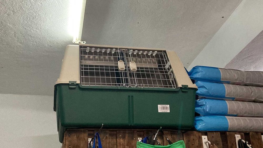 NOVO - Transportadora Carro, Atlas Car 80 e 100cm