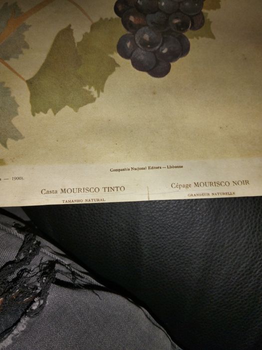 Vendo pintura em bom estado