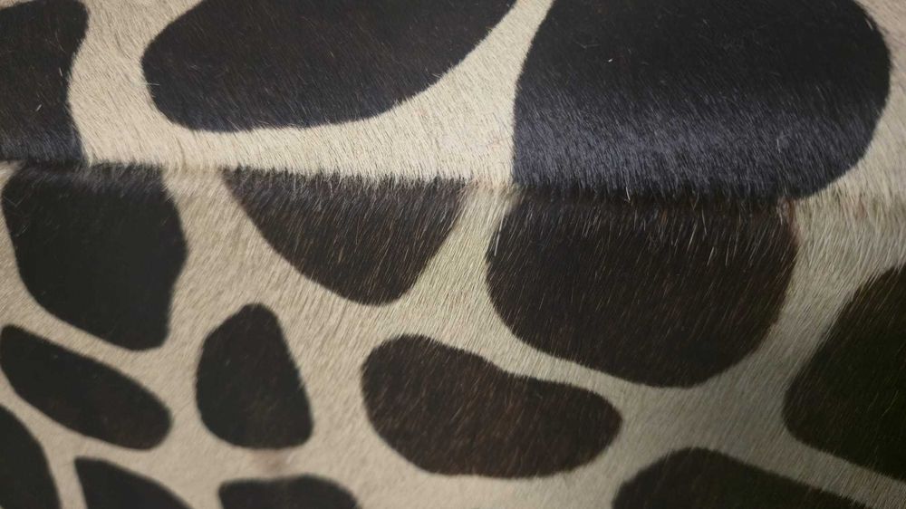 Duas poltronas, NOVAS