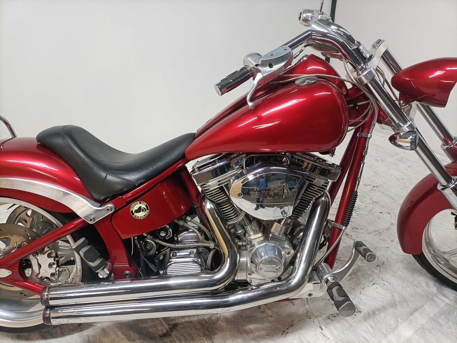 Big Dog Mastiff Harley