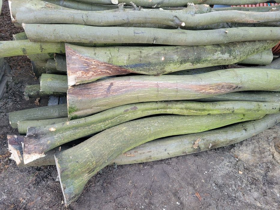 Drzewo opałowe, kominkowe liściaste Dąb, Grab