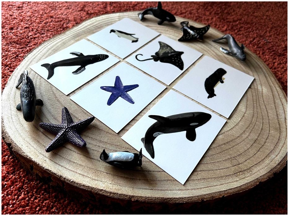 Animais do mar - Montessori