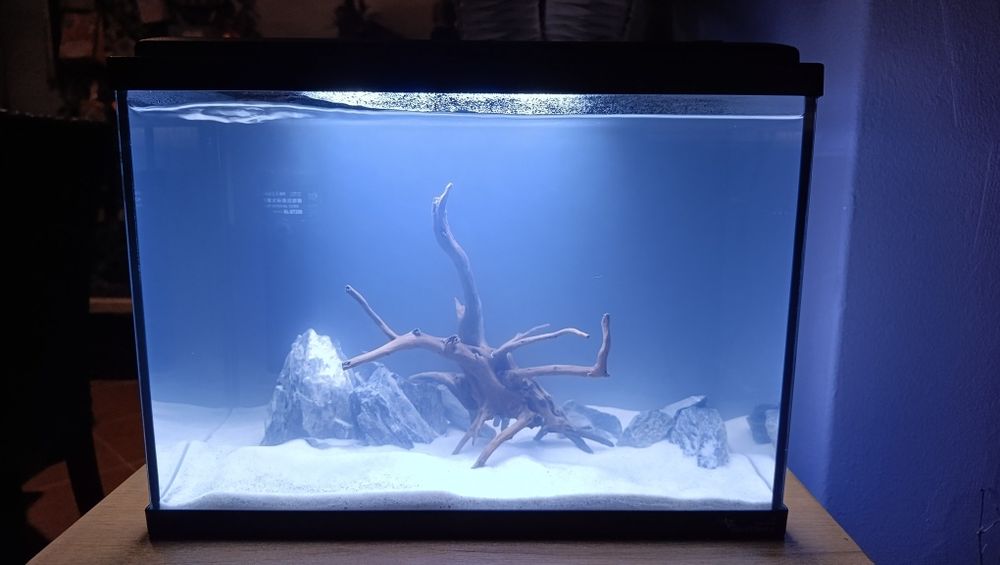 Aquário pequeno 12L