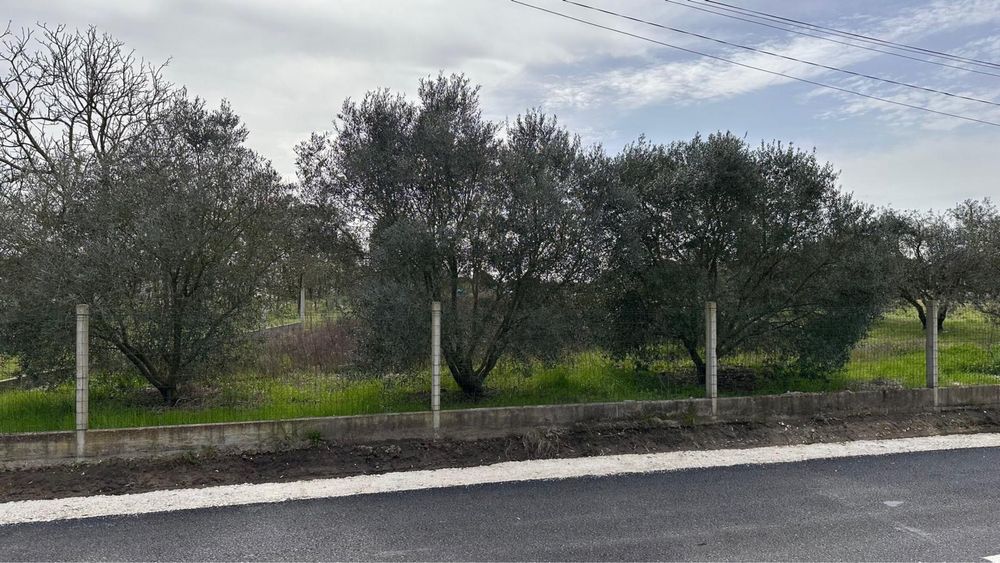 Terreno urbano com projeto aprovado