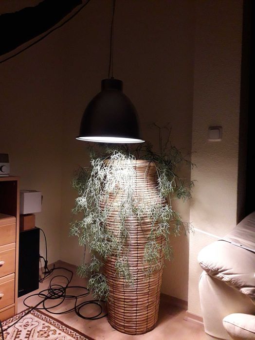 Lampa Philips Massive Max 75W/E27