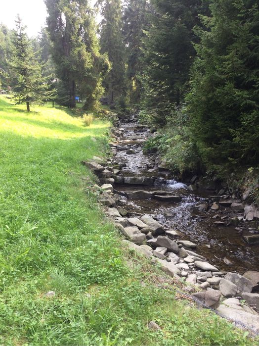 Domek w Gorcach w otoczeniu natury. Góry. Las. Strumyk. Basen. 6-8 os.