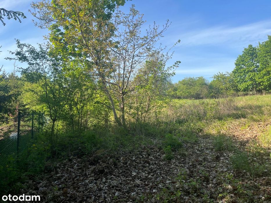 1775 m² w Pobiedziskach | Jezioro, szkoła, PKP, pełne media w drodze - Widok 5