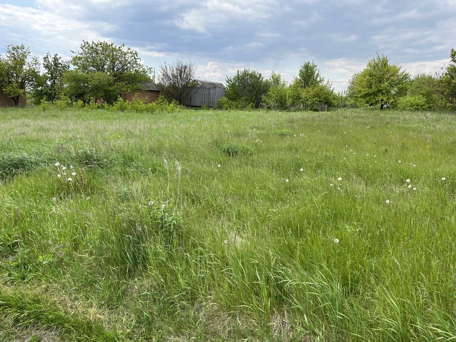 Земельна ділянка, 10 соток