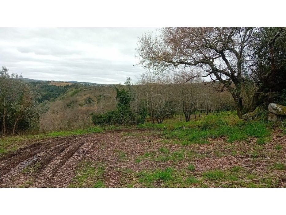 Terreno Rústico com 9.800m² | Rebanque | Furo 240m | Carvalho