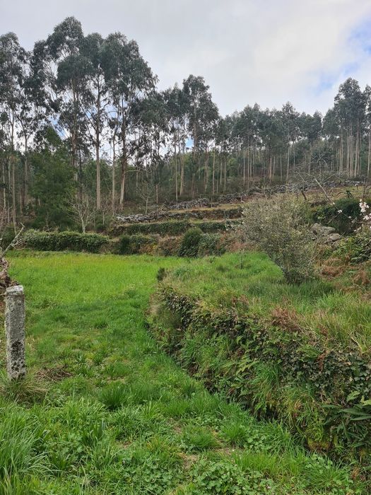 Quinta Agrícola a 5 minutos da A25