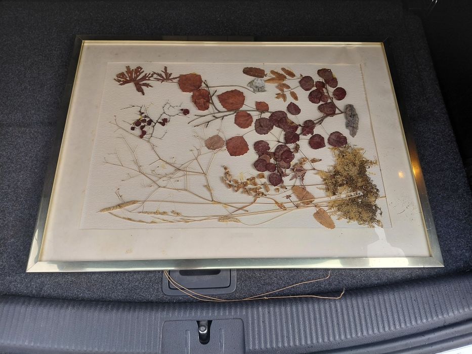 Quadro antigo para restauro no estado real que se encontra nas fotos 8