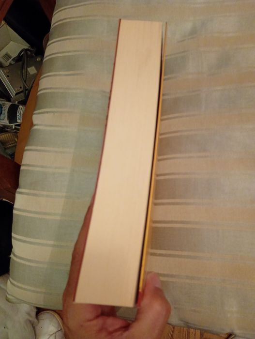 It a coisa - Stephen King - Livro II - 1 edição - Europa América - 10E - Balde-10E Desde 2E