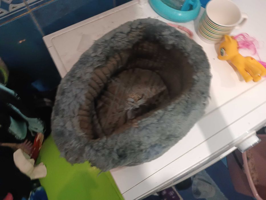 Шапка ушанка СССР