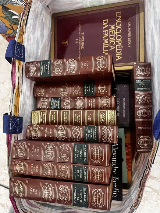 Oferece-se saco com livros variados