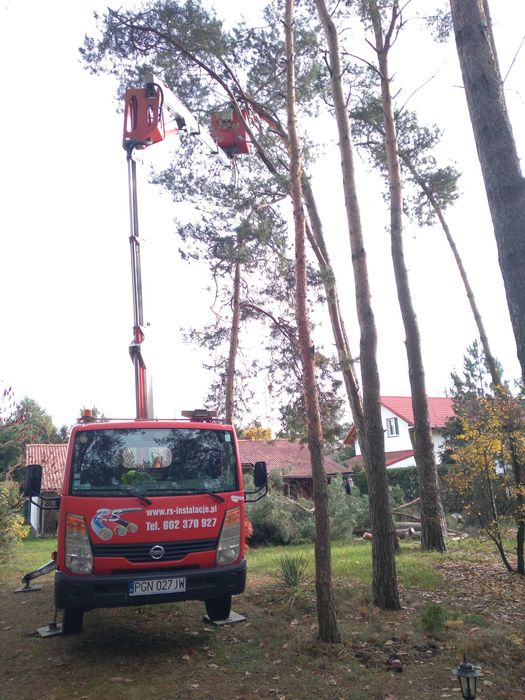 Wycinka, Przycinanie drzew Gniezno