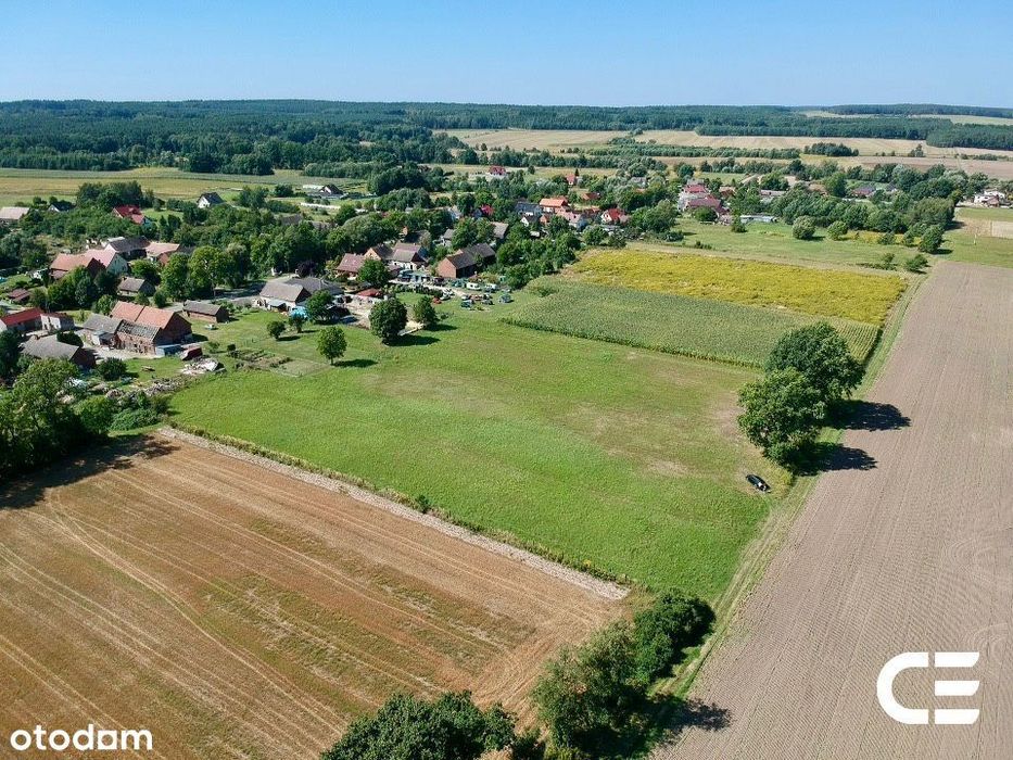 Grabowno Małe | 4825 m² | potencjał inwestycyjny - Widok 5