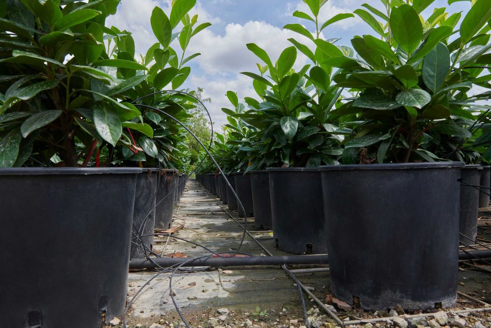 Doniczka  9,5l produkcyjna włoska NIEPĘKAJĄCA elastyczna