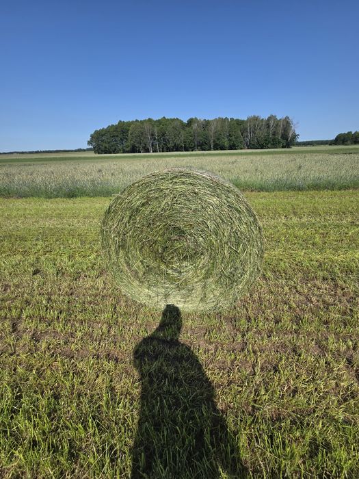 Sianokiszonka z lucerny 130cm