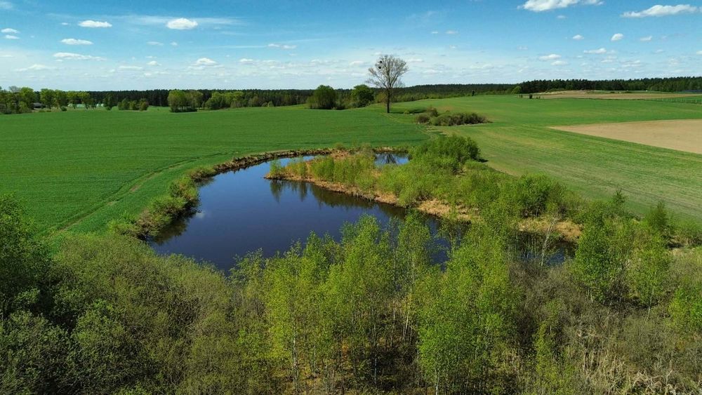 Domek na wynajem na Kaszubach z bilardem i jacuzzy- agroturystyka