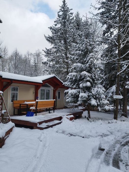 Domek w górach z prywatną plażą.