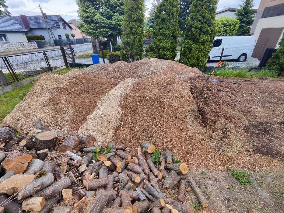 Zrębka drzewna 40 zł/m3