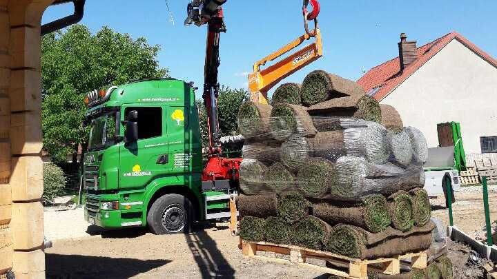 Trawa z rolki / dostępna od ręki / Kraków / MARKFLOR