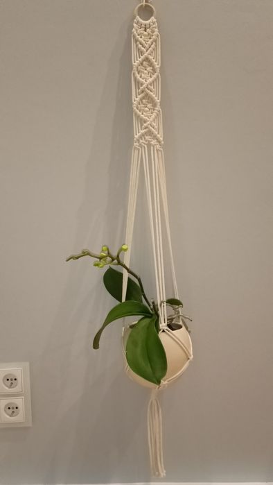 Kwietnik wiszący sufitowy lub ścienny  boho