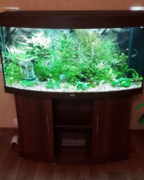 Продам новый аквариум Juwel 450 Vision