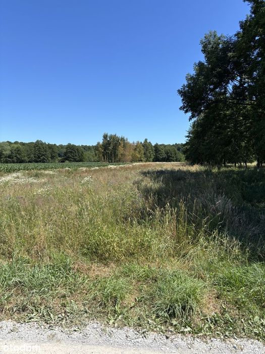 Działka rolna/rekreacyjna 6 900 m2 w Nowej Wsi, oddam w dobre ręce
