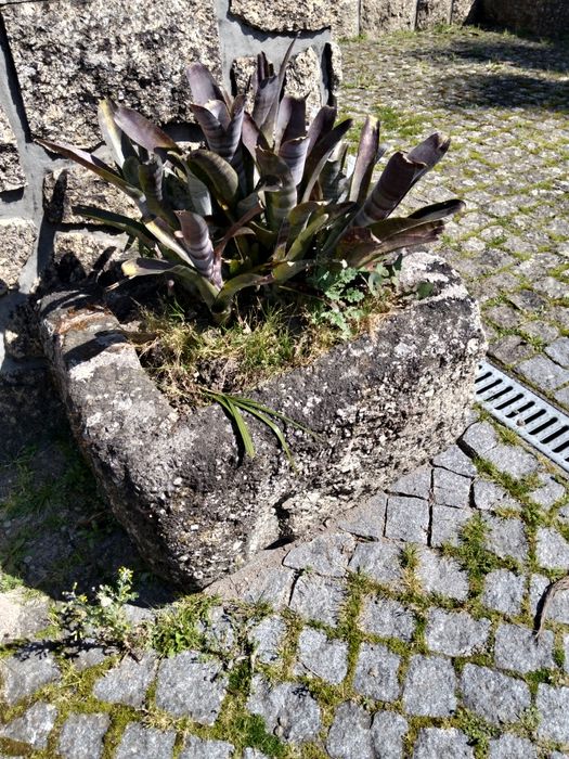 Pias em pedra talhada a mão