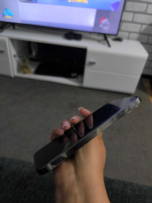 iPhone 12 Pro Max 256GB