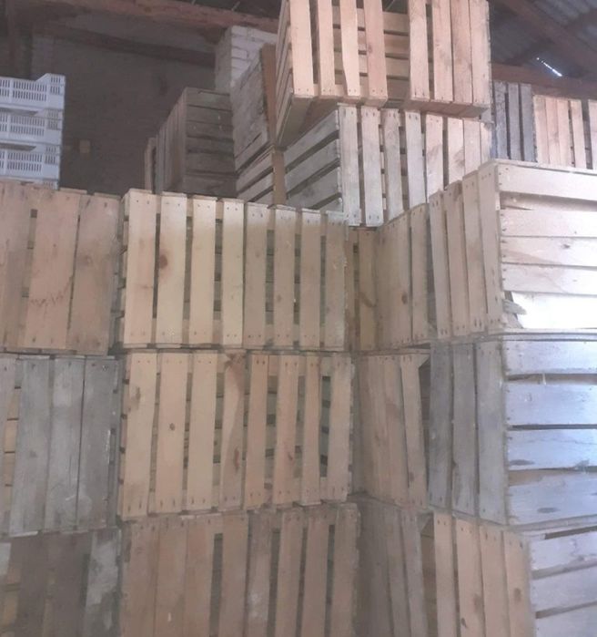 Skrzynki drewniane jedynki sadownicze