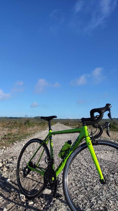 Cannondale Caad Optimo