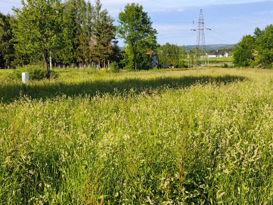 Działka budowlana 8,6 ara Wojaszówka + Warunki Zabudowy na czas nieokreślony - Widok 4
