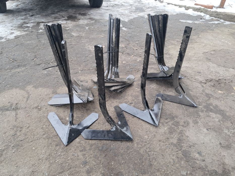 Лапи глубокорихдітеля