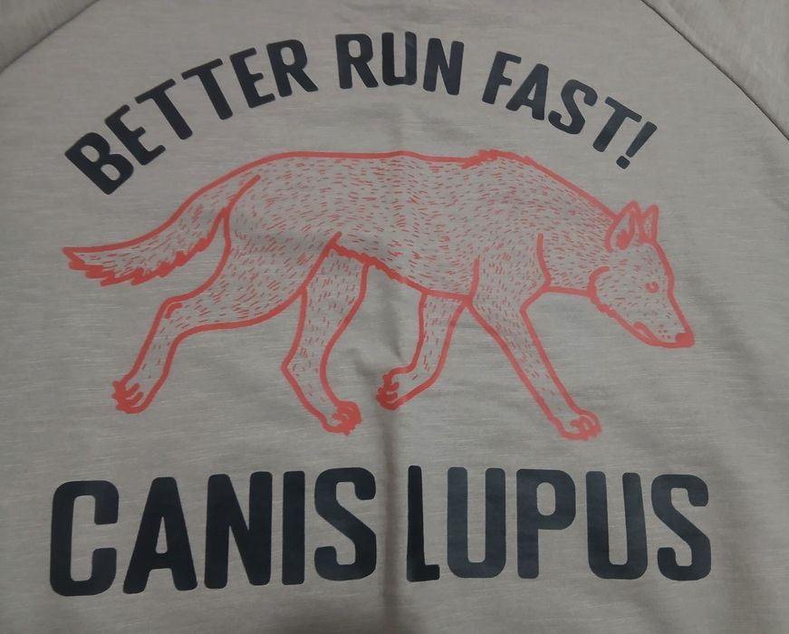 Светр хлопчатий | Better run fast! Ganis lupus